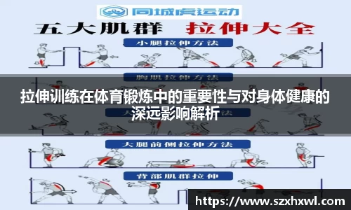 拉伸训练在体育锻炼中的重要性与对身体健康的深远影响解析